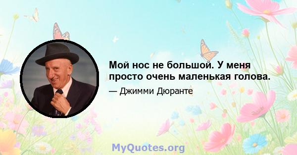 Мой нос не большой. У меня просто очень маленькая голова.