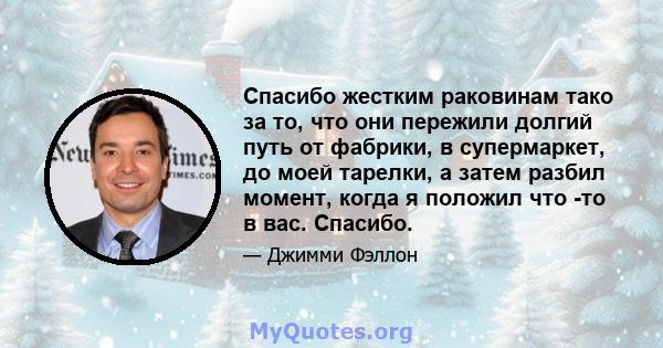 Спасибо жестким раковинам тако за то, что они пережили долгий путь от фабрики, в супермаркет, до моей тарелки, а затем разбил момент, когда я положил что -то в вас. Спасибо.