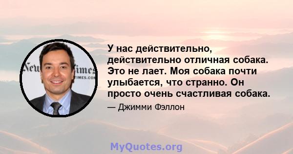 У нас действительно, действительно отличная собака. Это не лает. Моя собака почти улыбается, что странно. Он просто очень счастливая собака.