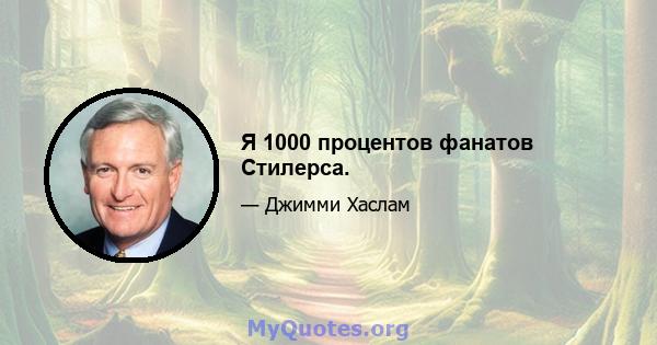 Я 1000 процентов фанатов Стилерса.