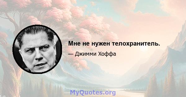 Мне не нужен телохранитель.