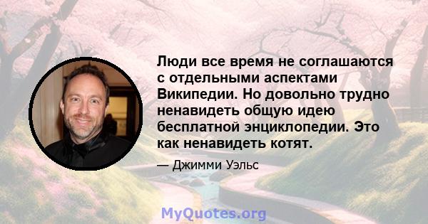 Люди все время не соглашаются с отдельными аспектами Википедии. Но довольно трудно ненавидеть общую идею бесплатной энциклопедии. Это как ненавидеть котят.