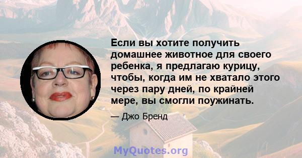 Если вы хотите получить домашнее животное для своего ребенка, я предлагаю курицу, чтобы, когда им не хватало этого через пару дней, по крайней мере, вы смогли поужинать.