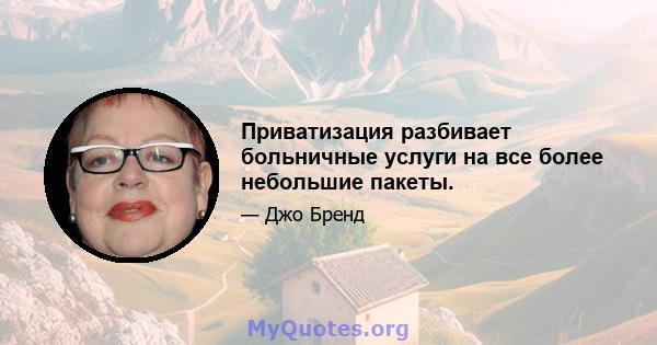 Приватизация разбивает больничные услуги на все более небольшие пакеты.