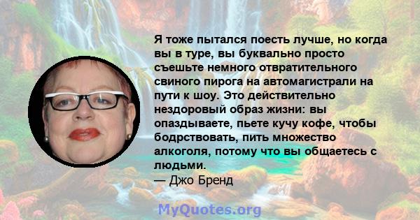 Я тоже пытался поесть лучше, но когда вы в туре, вы буквально просто съешьте немного отвратительного свиного пирога на автомагистрали на пути к шоу. Это действительно нездоровый образ жизни: вы опаздываете, пьете кучу