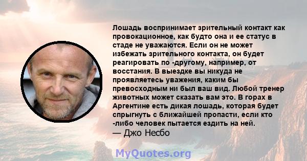 Лошадь воспринимает зрительный контакт как провокационное, как будто она и ее статус в стаде не уважаются. Если он не может избежать зрительного контакта, он будет реагировать по -другому, например, от восстания. В