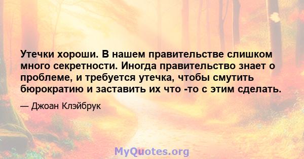 Утечки хороши. В нашем правительстве слишком много секретности. Иногда правительство знает о проблеме, и требуется утечка, чтобы смутить бюрократию и заставить их что -то с этим сделать.