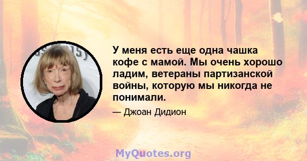 У меня есть еще одна чашка кофе с мамой. Мы очень хорошо ладим, ветераны партизанской войны, которую мы никогда не понимали.