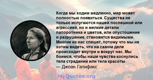 Когда мы ходим медленно, мир может полностью появиться. Существа не только испугаются нашей поспешной или агрессией, но и мелкие детали папоротника и цветов, или опустошение и разрушение, становятся видимыми. Многие из