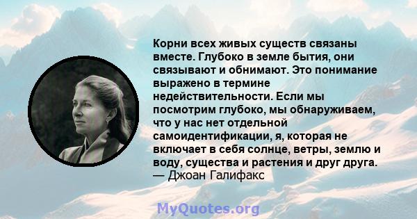 Корни всех живых существ связаны вместе. Глубоко в земле бытия, они связывают и обнимают. Это понимание выражено в термине недействительности. Если мы посмотрим глубоко, мы обнаруживаем, что у нас нет отдельной