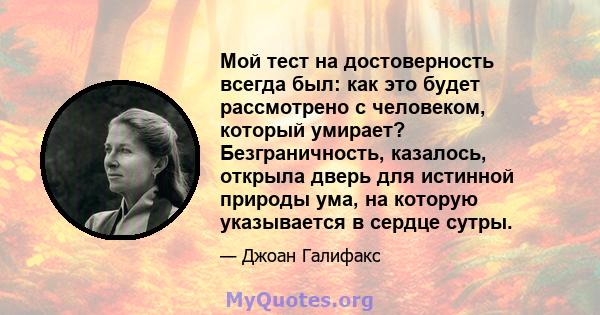 Мой тест на достоверность всегда был: как это будет рассмотрено с человеком, который умирает? Безграничность, казалось, открыла дверь для истинной природы ума, на которую указывается в сердце сутры.