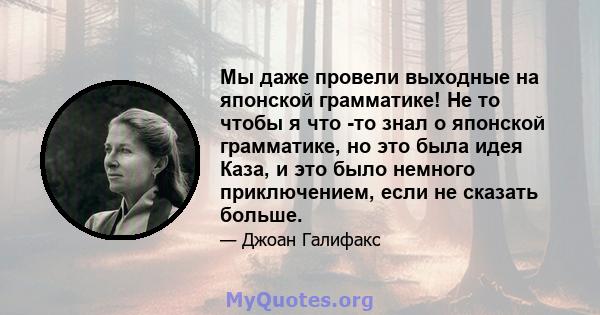 Мы даже провели выходные на японской грамматике! Не то чтобы я что -то знал о японской грамматике, но это была идея Каза, и это было немного приключением, если не сказать больше.