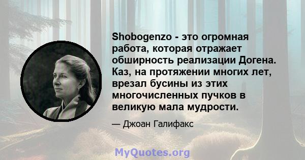 Shobogenzo - это огромная работа, которая отражает обширность реализации Догена. Каз, на протяжении многих лет, врезал бусины из этих многочисленных пучков в великую мала мудрости.