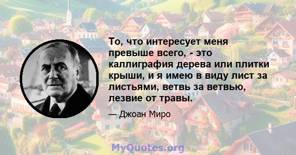 То, что интересует меня превыше всего, - это каллиграфия дерева или плитки крыши, и я имею в виду лист за листьями, ветвь за ветвью, лезвие от травы.