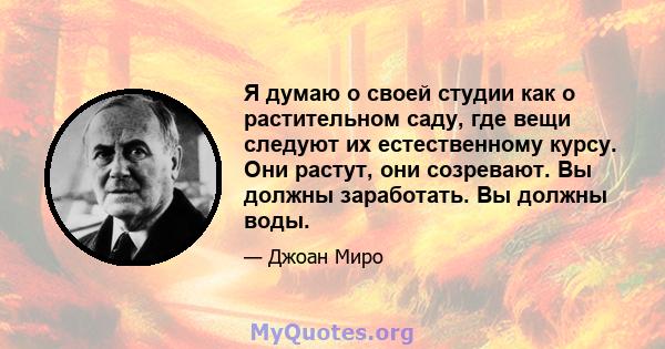 Я думаю о своей студии как о растительном саду, где вещи следуют их естественному курсу. Они растут, они созревают. Вы должны заработать. Вы должны воды.