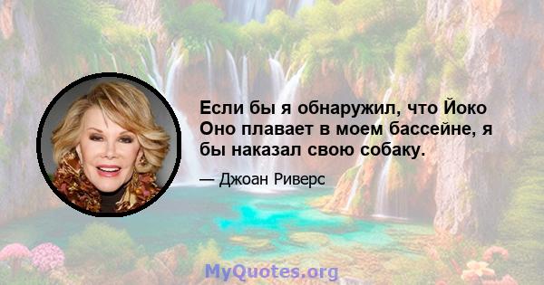 Если бы я обнаружил, что Йоко Оно плавает в моем бассейне, я бы наказал свою собаку.