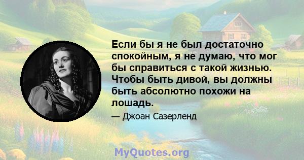 Если бы я не был достаточно спокойным, я не думаю, что мог бы справиться с такой жизнью. Чтобы быть дивой, вы должны быть абсолютно похожи на лошадь.