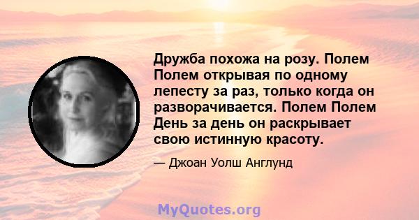 Дружба похожа на розу. Полем Полем открывая по одному лепесту за раз, только когда он разворачивается. Полем Полем День за день он раскрывает свою истинную красоту.