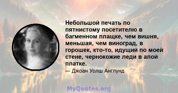 Небольшой печать по пятнистому посетителю в багменном плащке, чем вишня, меньшая, чем виноград, в горошек, кто-то, идущий по моей стене, чернокожие леди в алой платке.