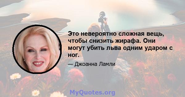 Это невероятно сложная вещь, чтобы снизить жирафа. Они могут убить льва одним ударом с ног.