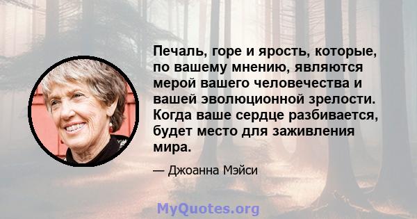 Печаль, горе и ярость, которые, по вашему мнению, являются мерой вашего человечества и вашей эволюционной зрелости. Когда ваше сердце разбивается, будет место для заживления мира.