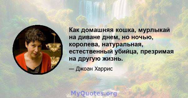 Как домашняя кошка, мурлыкай на диване днем, но ночью, королева, натуральная, естественный убийца, презримая на другую жизнь.