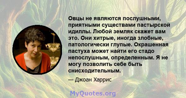 Овцы не являются послушными, приятными существами пастырской идиллы. Любой земляк скажет вам это. Они хитрые, иногда злобные, патологически глупые. Окрашенная пастуха может найти его стадо непослушным, определенным. Я