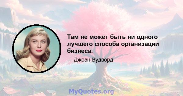 Там не может быть ни одного лучшего способа организации бизнеса.