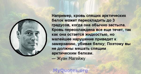 Например, кровь спящих арктических белок может переохладить до 3 градусов, когда она обычно застыла. Кровь переохлаждена все еще течет, так как она остается жидкостью, но малейшее нарушение приведет к замерзанию, убивая 