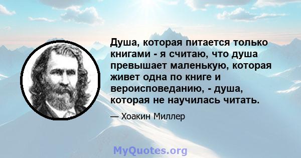 Душа, которая питается только книгами - я считаю, что душа превышает маленькую, которая живет одна по книге и вероисповеданию, - душа, которая не научилась читать.