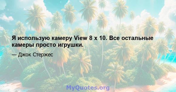 Я использую камеру View 8 x 10. Все остальные камеры просто игрушки.