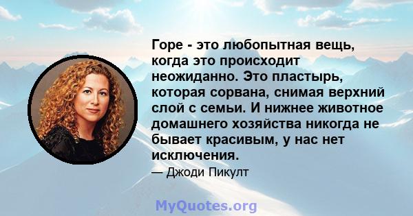 Горе - это любопытная вещь, когда это происходит неожиданно. Это пластырь, которая сорвана, снимая верхний слой с семьи. И нижнее животное домашнего хозяйства никогда не бывает красивым, у нас нет исключения.