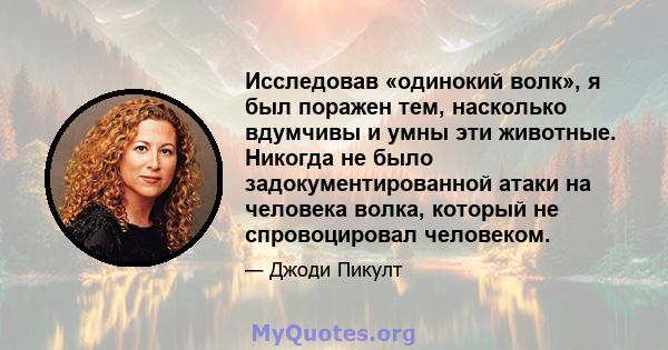 Исследовав «одинокий волк», я был поражен тем, насколько вдумчивы и умны эти животные. Никогда не было задокументированной атаки на человека волка, который не спровоцировал человеком.