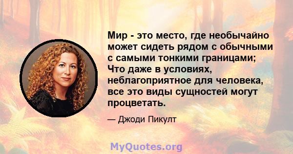 Мир - это место, где необычайно может сидеть рядом с обычными с самыми тонкими границами; Что даже в условиях, неблагоприятное для человека, все это виды сущностей могут процветать.