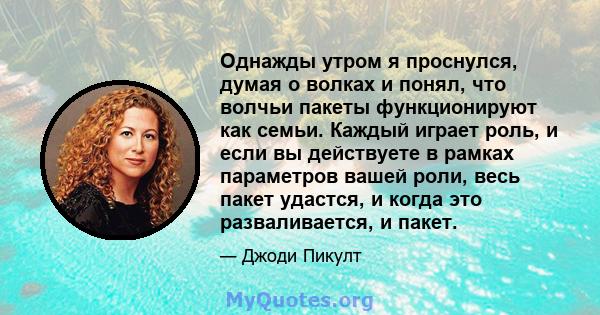 Однажды утром я проснулся, думая о волках и понял, что волчьи пакеты функционируют как семьи. Каждый играет роль, и если вы действуете в рамках параметров вашей роли, весь пакет удастся, и когда это разваливается, и