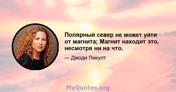 Полярный север не может уйти от магнита; Магнит находит это, несмотря ни на что.