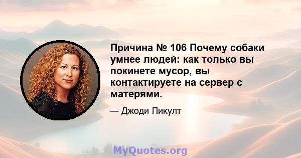 Причина № 106 Почему собаки умнее людей: как только вы покинете мусор, вы контактируете на сервер с матерями.