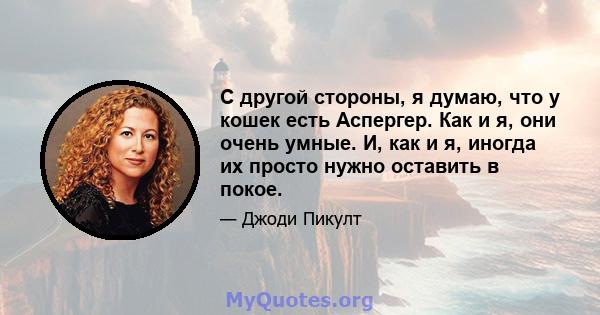 С другой стороны, я думаю, что у кошек есть Аспергер. Как и я, они очень умные. И, как и я, иногда их просто нужно оставить в покое.