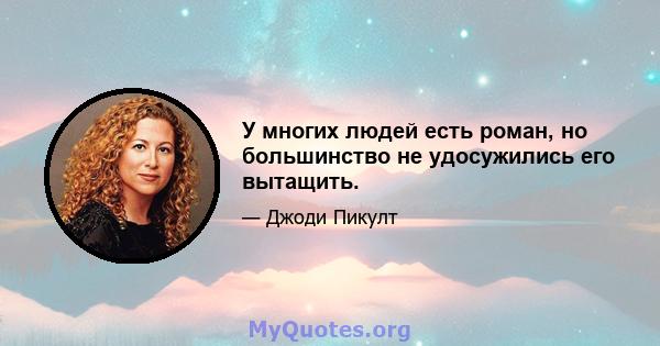 У многих людей есть роман, но большинство не удосужились его вытащить.