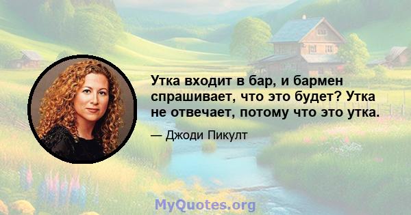 Утка входит в бар, и бармен спрашивает, что это будет? Утка не отвечает, потому что это утка.