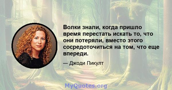 Волки знали, когда пришло время перестать искать то, что они потеряли, вместо этого сосредоточиться на том, что еще впереди.