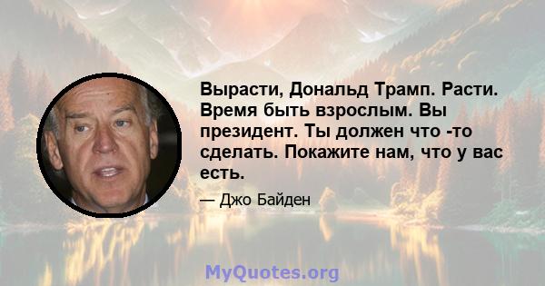 Вырасти, Дональд Трамп. Расти. Время быть взрослым. Вы президент. Ты должен что -то сделать. Покажите нам, что у вас есть.