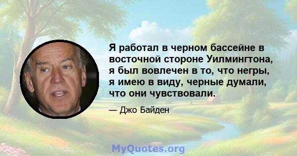 Я работал в черном бассейне в восточной стороне Уилмингтона, я был вовлечен в то, что негры, я имею в виду, черные думали, что они чувствовали.