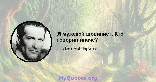 Я мужской шовинист. Кто говорил иначе?