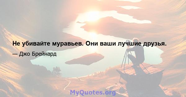 Не убивайте муравьев. Они ваши лучшие друзья.