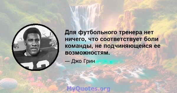 Для футбольного тренера нет ничего, что соответствует боли команды, не подчиняющейся ее возможностям.