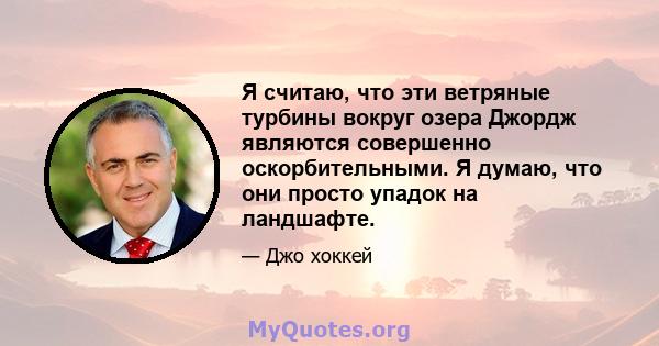 Я считаю, что эти ветряные турбины вокруг озера Джордж являются совершенно оскорбительными. Я думаю, что они просто упадок на ландшафте.