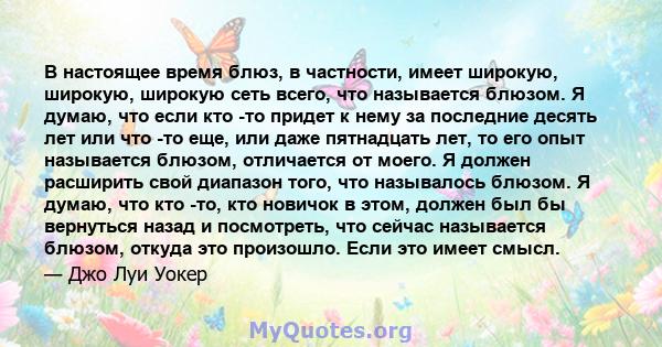 В настоящее время блюз, в частности, имеет широкую, широкую, широкую сеть всего, что называется блюзом. Я думаю, что если кто -то придет к нему за последние десять лет или что -то еще, или даже пятнадцать лет, то его