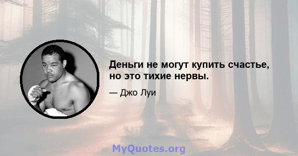 Деньги не могут купить счастье, но это тихие нервы.