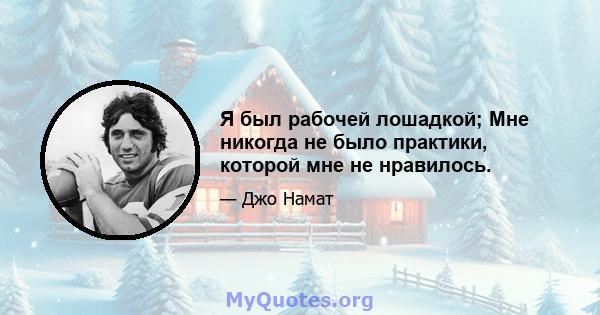 Я был рабочей лошадкой; Мне никогда не было практики, которой мне не нравилось.